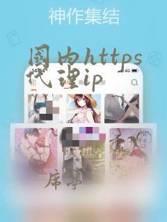 国内https代理ip