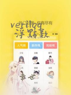 verilog 浮点数
