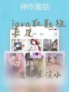 java取数组长度