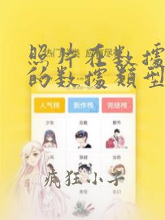 照片在数据库中的数据类型