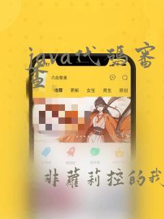 java代码审查