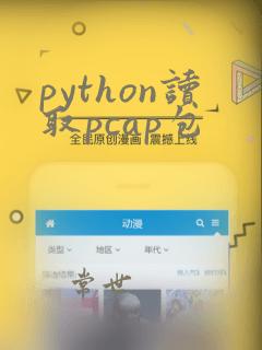 python读取pcap包