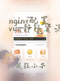 nginx配置vue静态资源