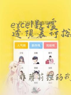 excel数据透视表行总计