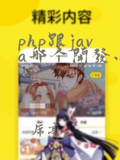 php跟java哪个开发小程序好