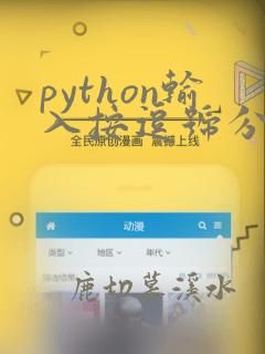 python输入按逗号分开