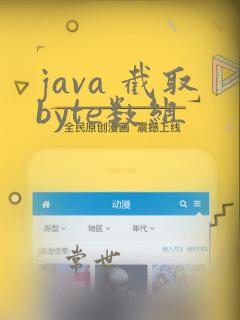 java 截取byte数组