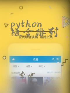 python 组合排列