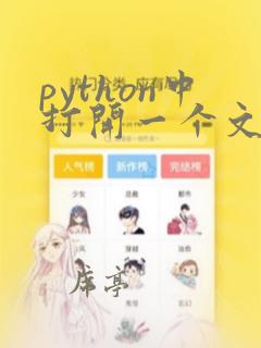 python中打开一个文件