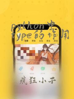 python中type的作用