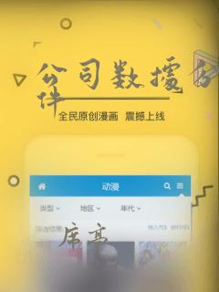 公司数据分析软件