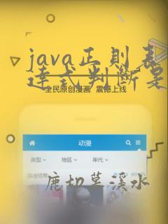 java正则表达式判断是否是数字