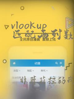 vlookup匹配两列数据重复