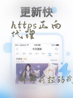 https正向代理