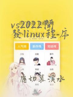 vs2022开发linux程序