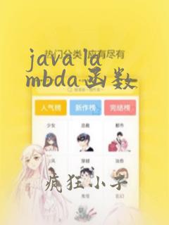 java lambda函数