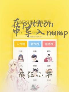 在python中导入numpy