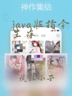java版指令生存