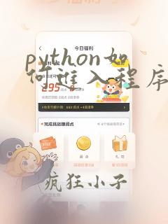python如何进入程序输入页面