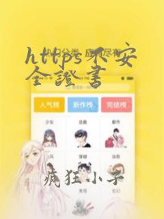 https不安全证书
