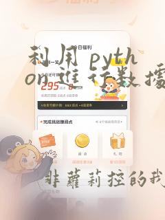 利用 python 进行数据分析