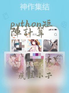 python矩阵计算