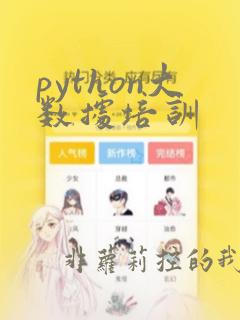 python大数据培训