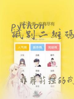 python 识别二维码