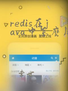 redis在java中怎么用