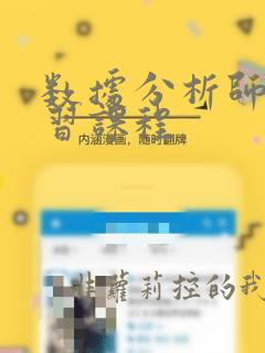 数据分析师 学习课程