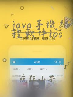 java手机编程软件ios