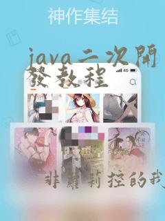 java二次开发教程