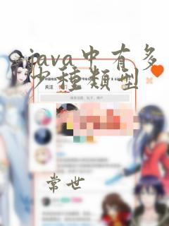 java中有多少种类型