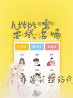https 需要域名吗