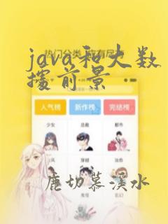 java和大数据前景