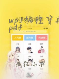 wpf编程宝典pdf