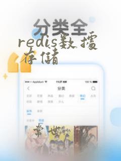 redis数据存储