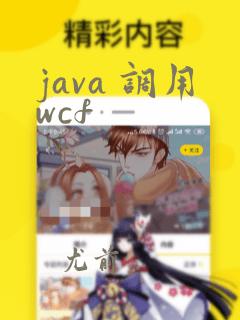 java 调用wcf