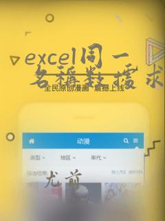 excel同一名称数据求和
