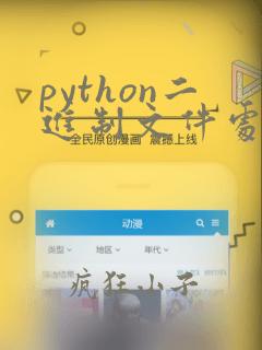 python二进制文件处理