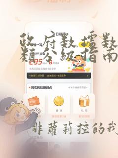 政府数据数据分类分级指南