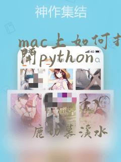 mac上如何打开python