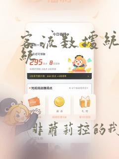 客流数据统计系统