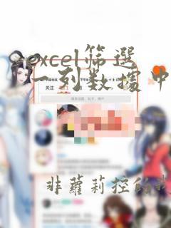 excel筛选一列数据中特定的几个数