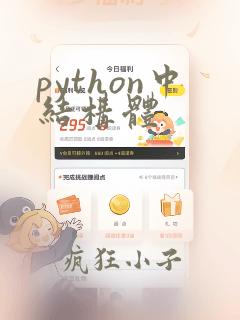 python中结构体