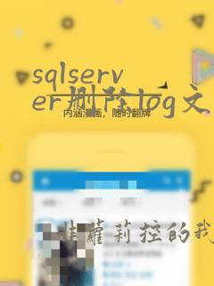 sqlserver删除log文件
