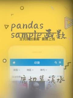 pandas sample函数