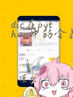 dic在python中的含义