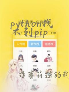 python找不到pip
