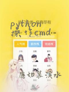python 操作cmd